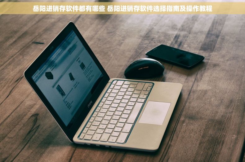 岳阳进销存软件都有哪些 岳阳进销存软件选择指南及操作教程