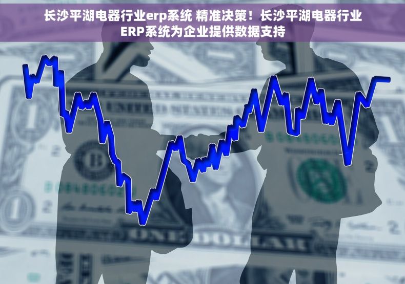 长沙平湖电器行业erp系统 精准决策！长沙平湖电器行业ERP系统为企业提供数据支持