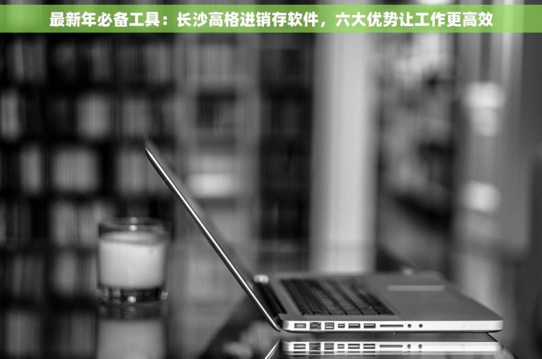 最新年必备工具：长沙高格进销存软件，六大优势让工作更高效