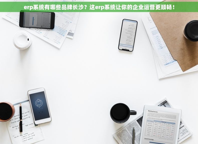 erp系统有哪些品牌长沙？这erp系统让你的企业运营更顺畅！