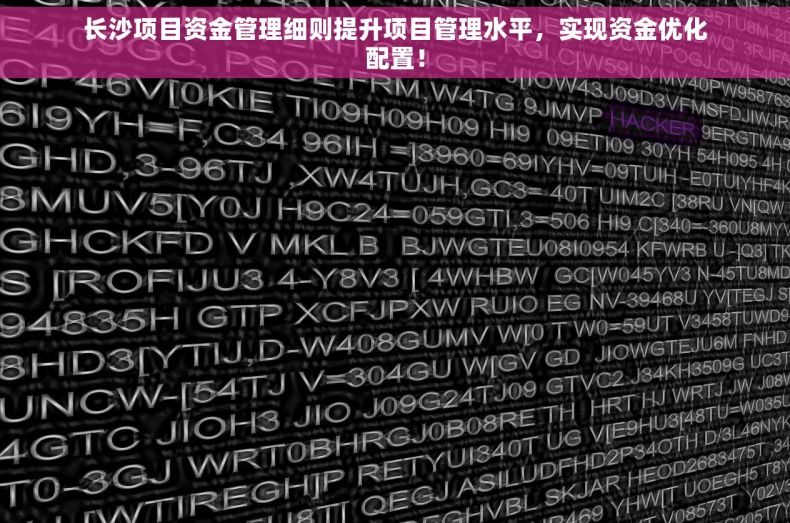 长沙项目资金管理细则提升项目管理水平，实现资金优化配置！