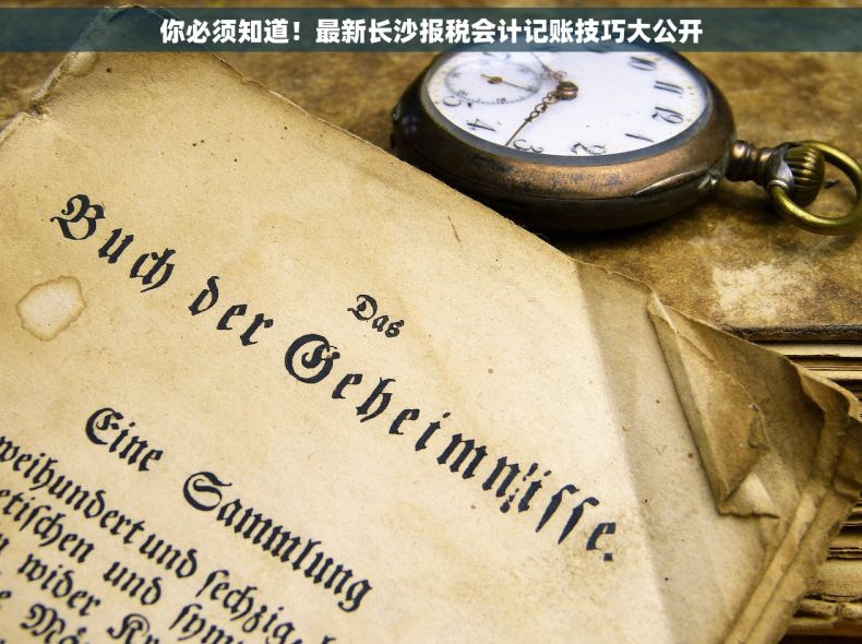 你必须知道！最新长沙报税会计记账技巧大公开