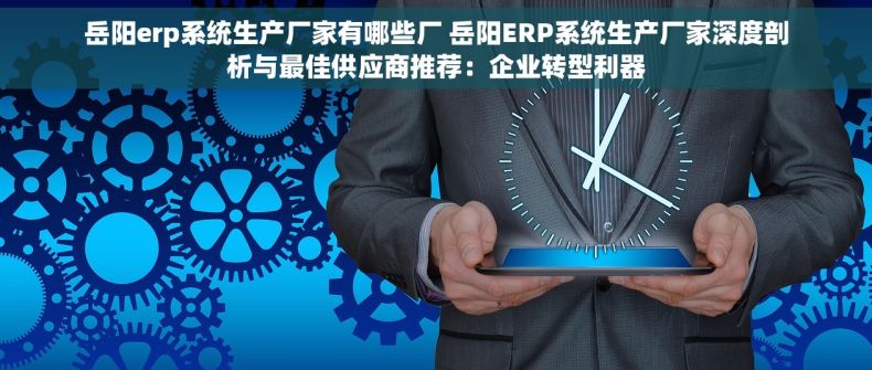 岳阳erp系统生产厂家有哪些厂 岳阳ERP系统生产厂家深度剖析与最佳供应商推荐：企业转型利器