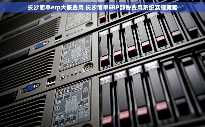 长沙简单erp大概费用 长沙简单ERP部署费用系统实施策略