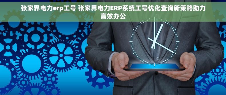 张家界电力erp工号 张家界电力ERP系统工号优化查询新策略助力高效办公