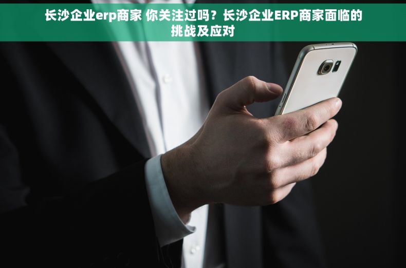长沙企业erp商家 你关注过吗？长沙企业ERP商家面临的挑战及应对