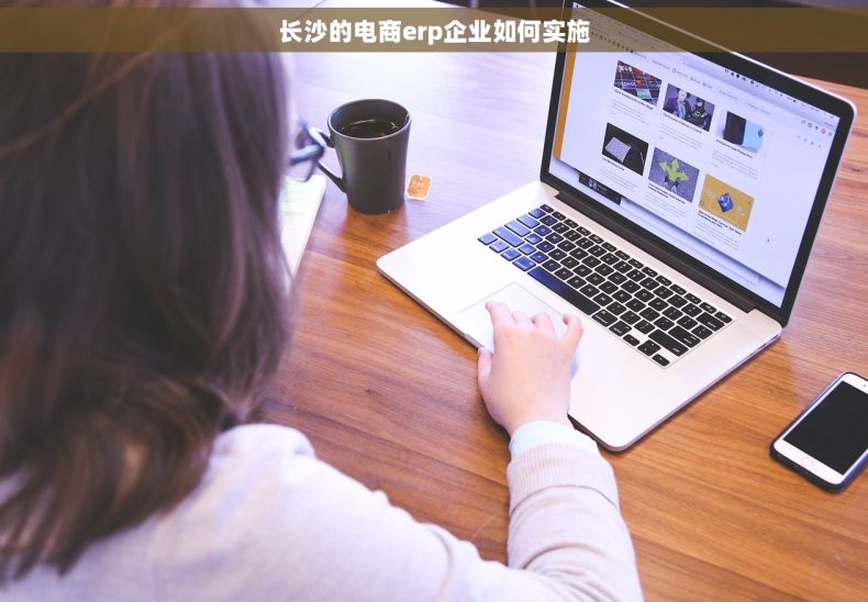 长沙的电商erp企业如何实施