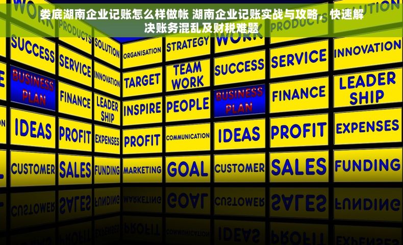 娄底湖南企业记账怎么样做帐 湖南企业记账实战与攻略，快速解决账务混乱及财税难题