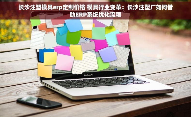 长沙注塑模具erp定制价格 模具行业变革：长沙注塑厂如何借助ERP系统优化流程