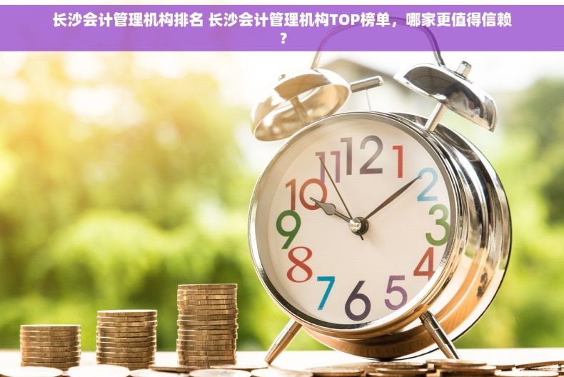 长沙会计管理机构排名 长沙会计管理机构TOP榜单，哪家更值得信赖？