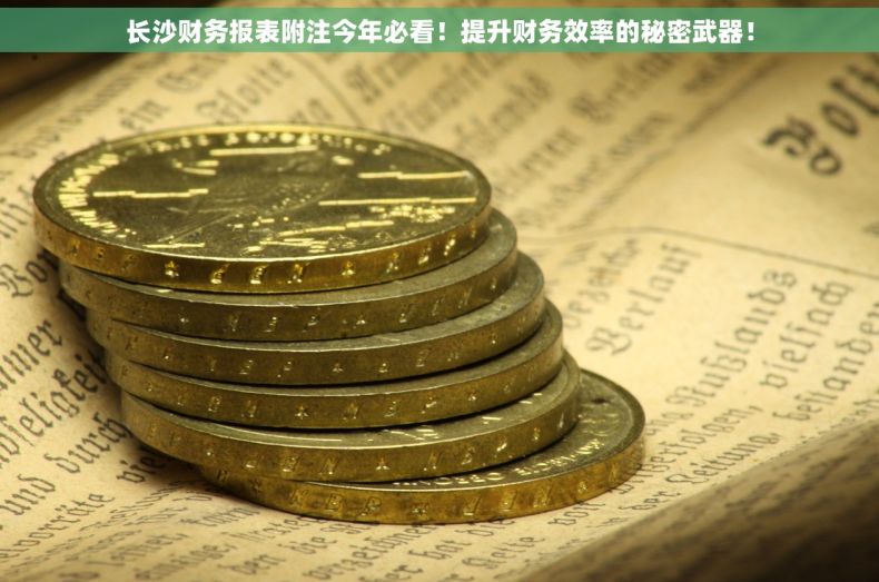 长沙财务报表附注今年必看！提升财务效率的秘密武器！