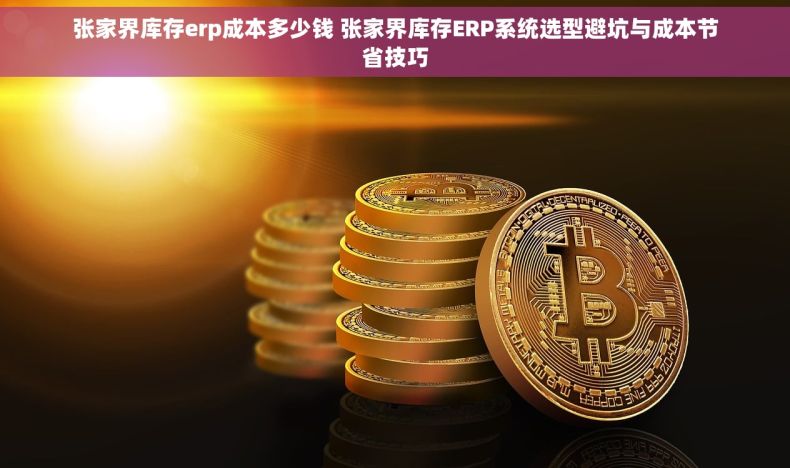 张家界库存erp成本多少钱 张家界库存ERP系统选型避坑与成本节省技巧