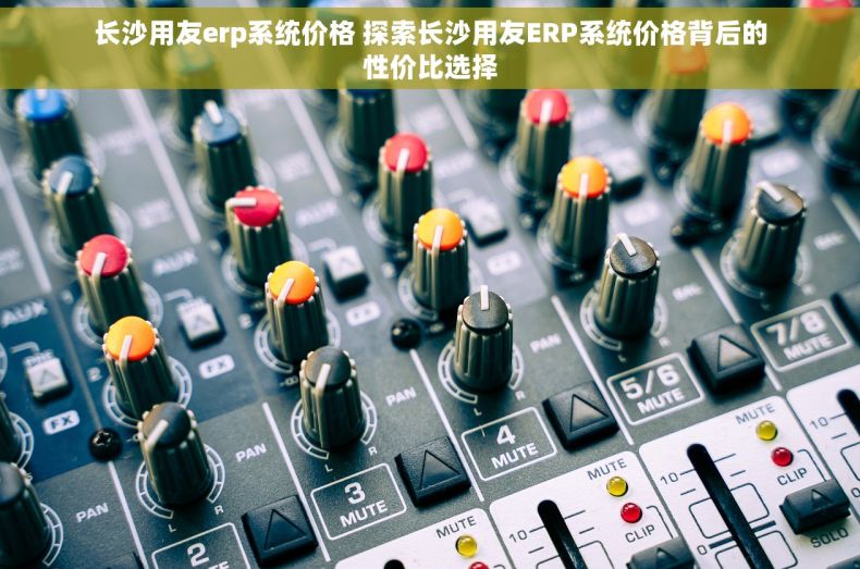 长沙用友erp系统价格 探索长沙用友ERP系统价格背后的性价比选择
