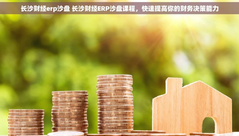 长沙财经erp沙盘 长沙财经ERP沙盘课程，快速提高你的财务决策能力