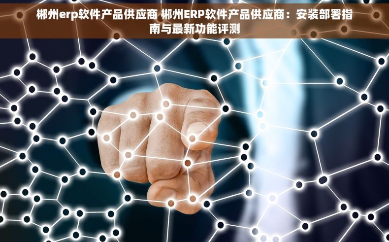 郴州erp软件产品供应商 郴州ERP软件产品供应商：安装部署指南与最新功能评测