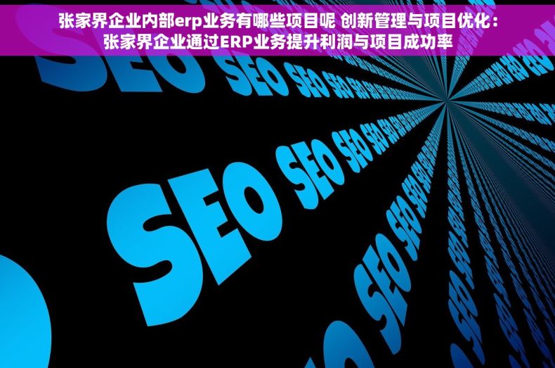 张家界企业内部erp业务有哪些项目呢 创新管理与项目优化：张家界企业通过ERP业务提升利润与项目成功率