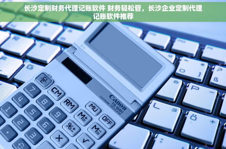长沙定制财务代理记账软件 财务轻松管，长沙企业定制代理记账软件推荐