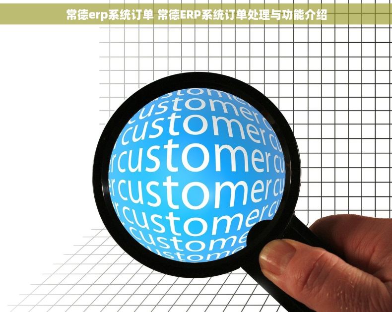常德erp系统订单 常德ERP系统订单处理与功能介绍