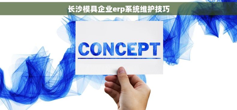 长沙模具企业erp系统维护技巧