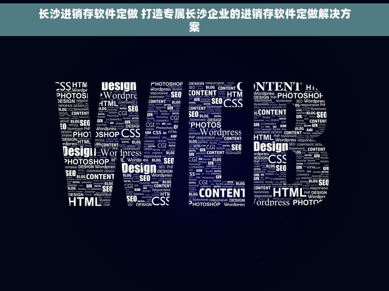 长沙进销存软件定做 打造专属长沙企业的进销存软件定做解决方案