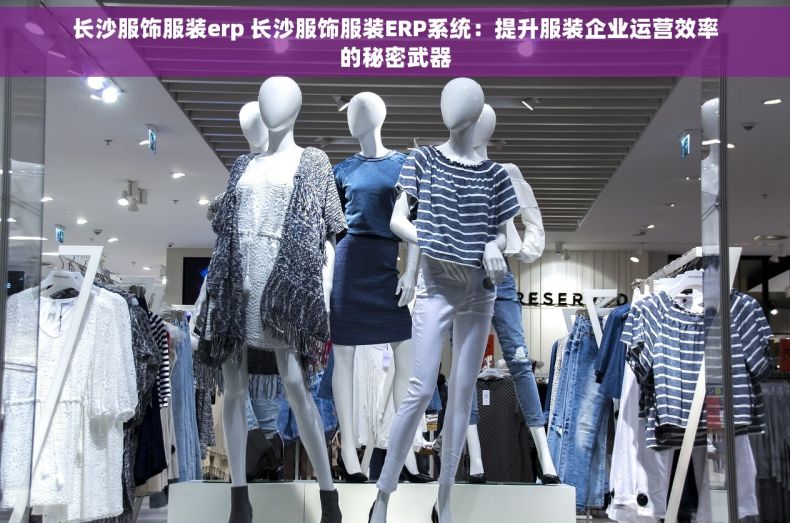 长沙服饰服装erp 长沙服饰服装ERP系统：提升服装企业运营效率的秘密武器