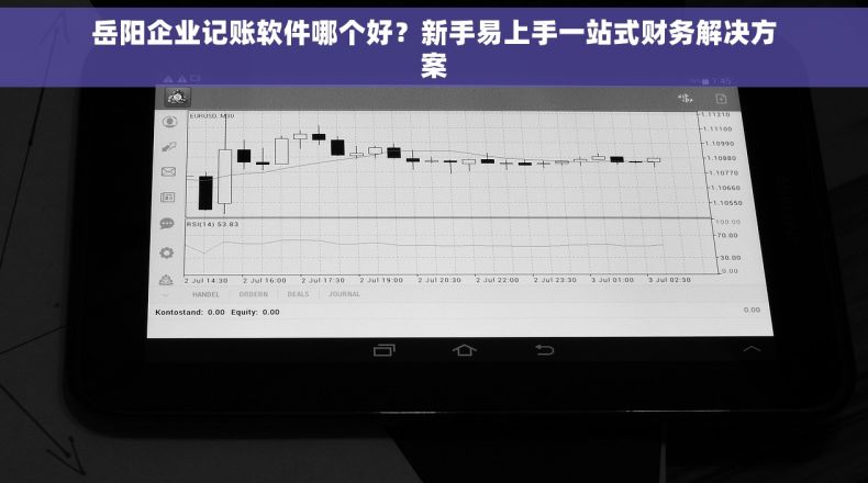 岳阳企业记账软件哪个好？新手易上手一站式财务解决方案