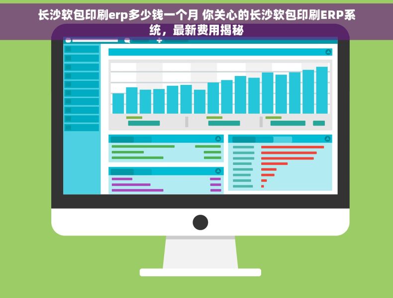 长沙软包印刷erp多少钱一个月 你关心的长沙软包印刷ERP系统，最新费用揭秘