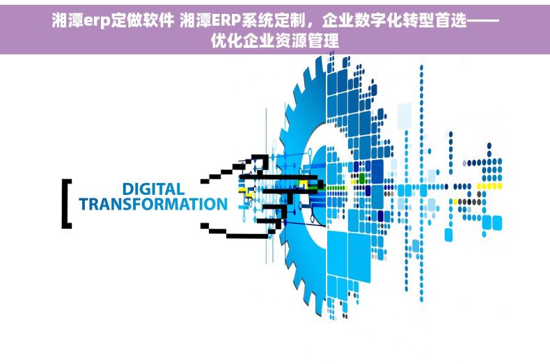 湘潭erp定做软件 湘潭ERP系统定制，企业数字化转型首选——优化企业资源管理