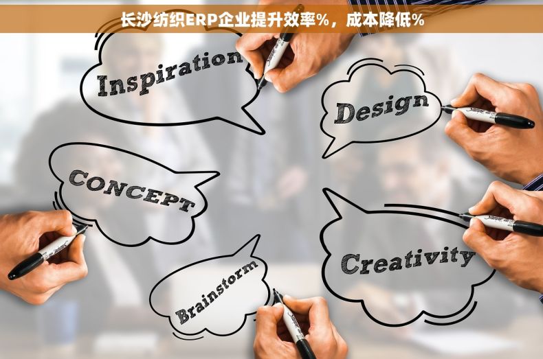 长沙纺织ERP企业提升效率%，成本降低%