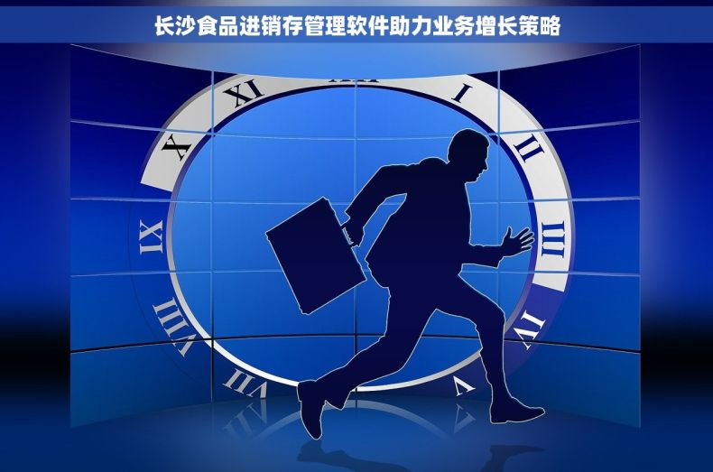 长沙食品进销存管理软件助力业务增长策略