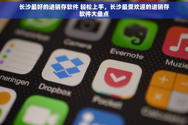 长沙最好的进销存软件 轻松上手，长沙最受欢迎的进销存软件大盘点