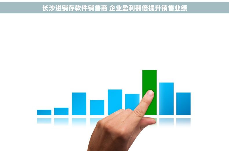 长沙进销存软件销售商 企业盈利翻倍提升销售业绩