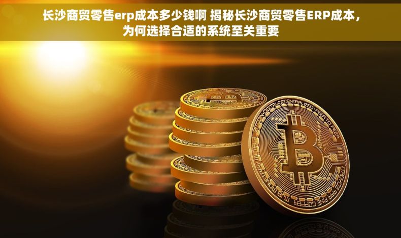 长沙商贸零售erp成本多少钱啊 揭秘长沙商贸零售ERP成本，为何选择合适的系统至关重要