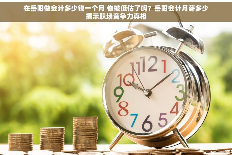 在岳阳做会计多少钱一个月 你被低估了吗？岳阳会计月薪多少揭示职场竞争力真相