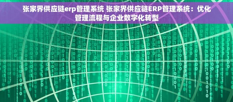 张家界供应链erp管理系统 张家界供应链ERP管理系统：优化管理流程与企业数字化转型