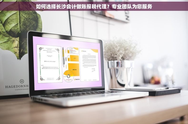 如何选择长沙会计做账报税代理？专业团队为您服务