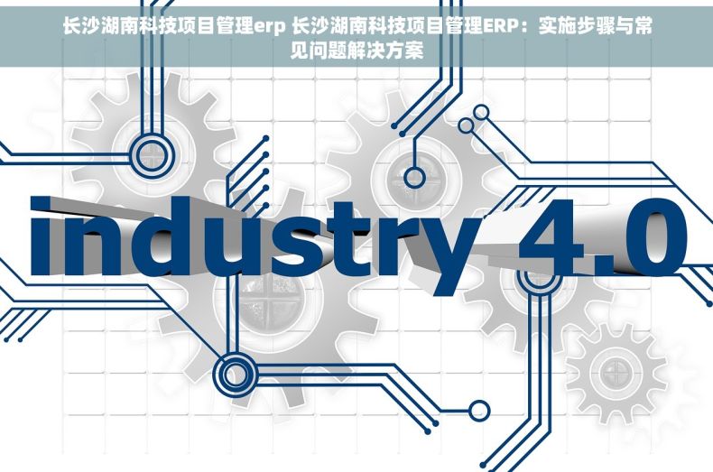 长沙湖南科技项目管理erp 长沙湖南科技项目管理ERP：实施步骤与常见问题解决方案