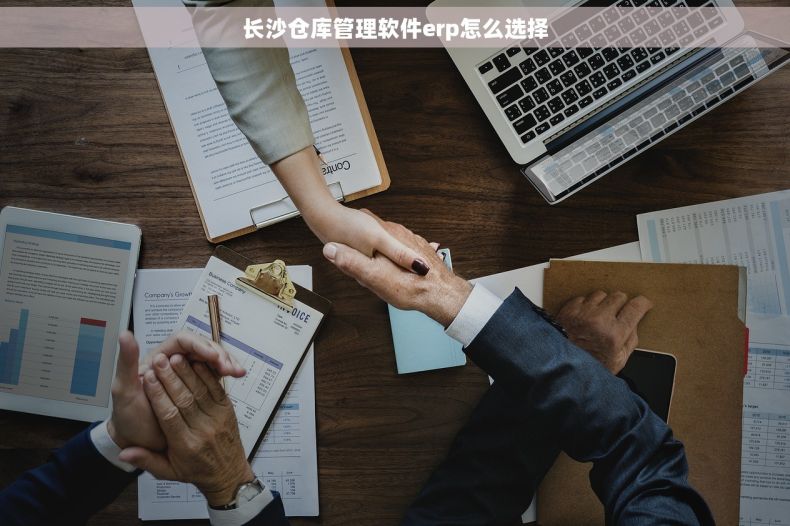 长沙仓库管理软件erp怎么选择
