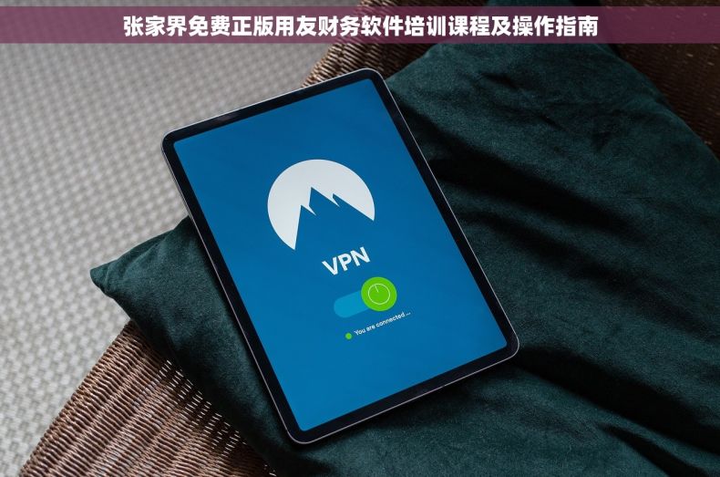 张家界免费正版用友财务软件培训课程及操作指南