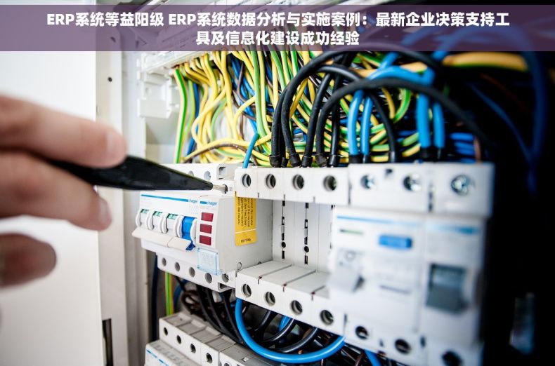 ERP系统等益阳级 ERP系统数据分析与实施案例：最新企业决策支持工具及信息化建设成功经验