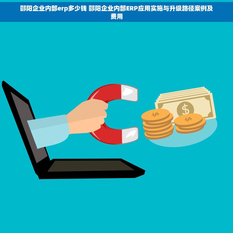 邵阳企业内部erp多少钱 邵阳企业内部ERP应用实施与升级路径案例及费用