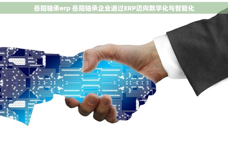 岳阳轴承erp 岳阳轴承企业通过ERP迈向数字化与智能化