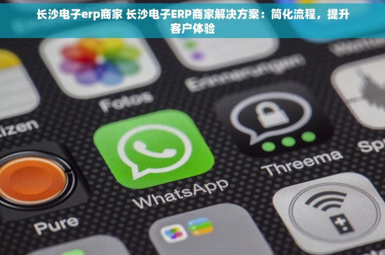 长沙电子erp商家 长沙电子ERP商家解决方案：简化流程，提升客户体验