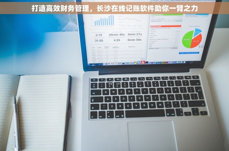 打造高效财务管理，长沙在线记账软件助你一臂之力