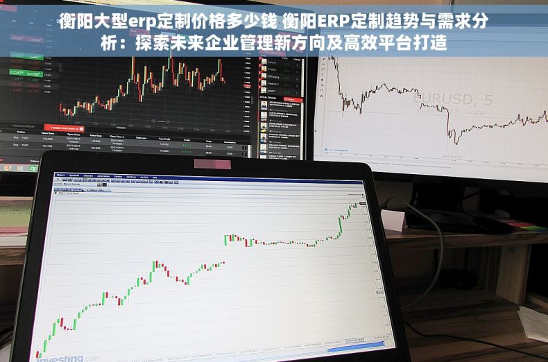 衡阳大型erp定制价格多少钱 衡阳ERP定制趋势与需求分析：探索未来企业管理新方向及高效平台打造