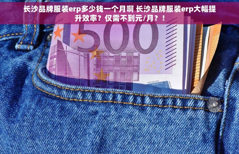 长沙品牌服装erp多少钱一个月啊 长沙品牌服装erp大幅提升效率？仅需不到元/月？！