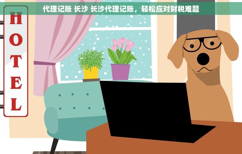 代理记账 长沙 长沙代理记账，轻松应对财税难题