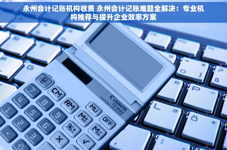 永州会计记账机构收费 永州会计记账难题全解决：专业机构推荐与提升企业效率方案
