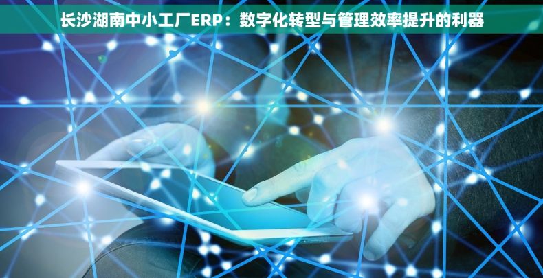 长沙湖南中小工厂ERP：数字化转型与管理效率提升的利器