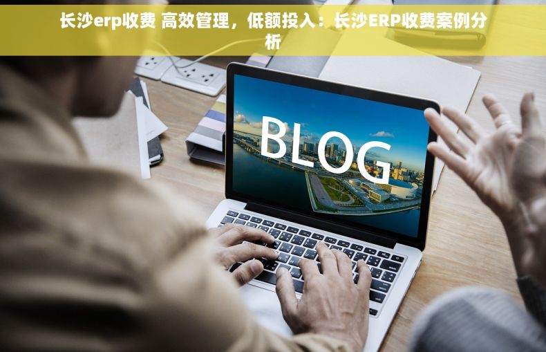 长沙erp收费 高效管理，低额投入：长沙ERP收费案例分析